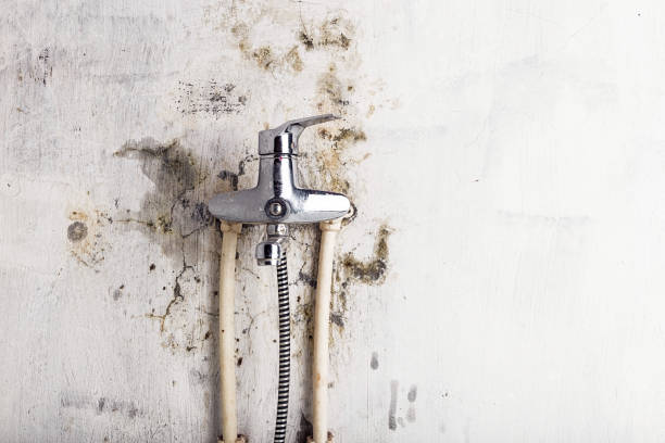 Best Certified Mold Removal  in Sun Valley, PA