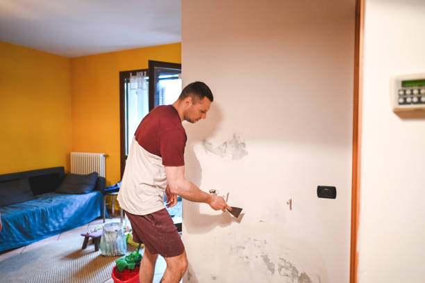 Best Commercial Mold Removal  in Sun Valley, PA